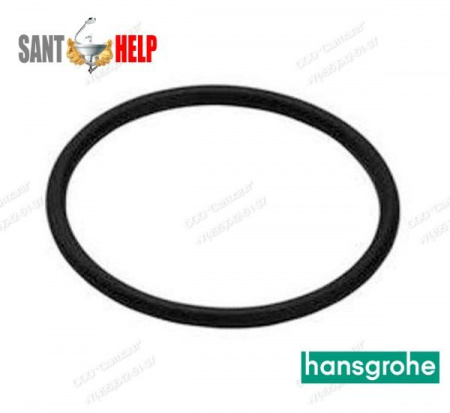 Уплотнительное кольцо Hansgrohe 22x2 98185000