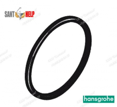 Уплотнение Hansgrohe 98418000